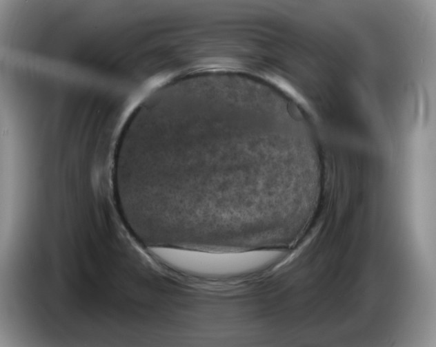 X0000084051325200703092044