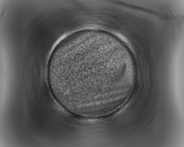 X0000084051326200703092044