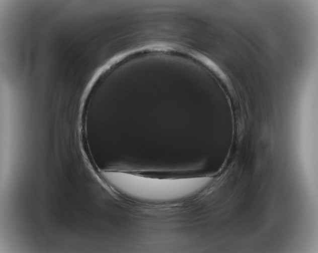 X0000084051327200703092044