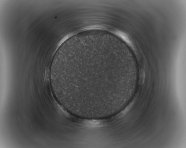 X0000084051329200703092044