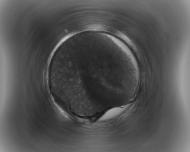 X0000084051331200703092044