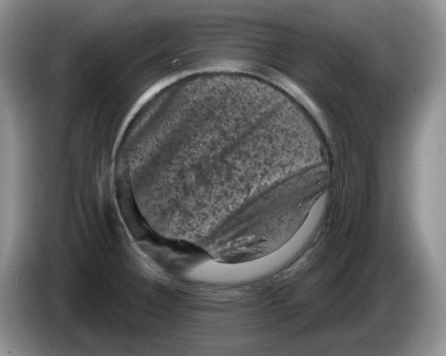 X0000084051332200703092044