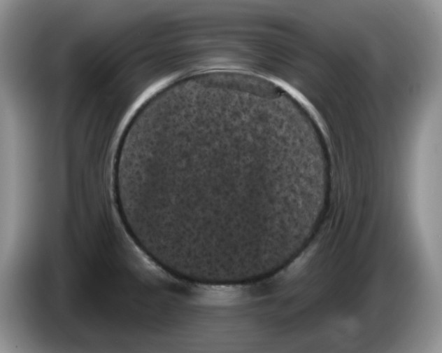 X0000084051333200703092044