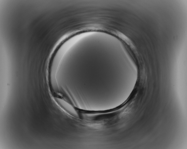 X0000084051334200703092044