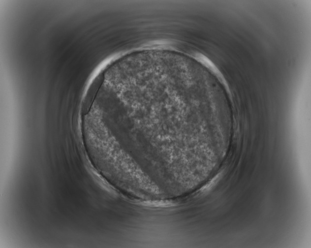 X0000084051336200703092044