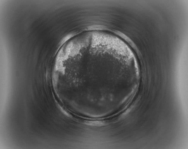 X0000084051337200703092044