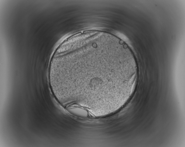 X0000084051338200703092044