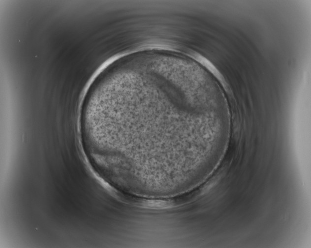 X0000084051339200703092044