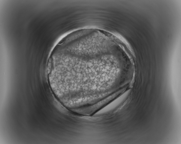 X0000084051340200703092044