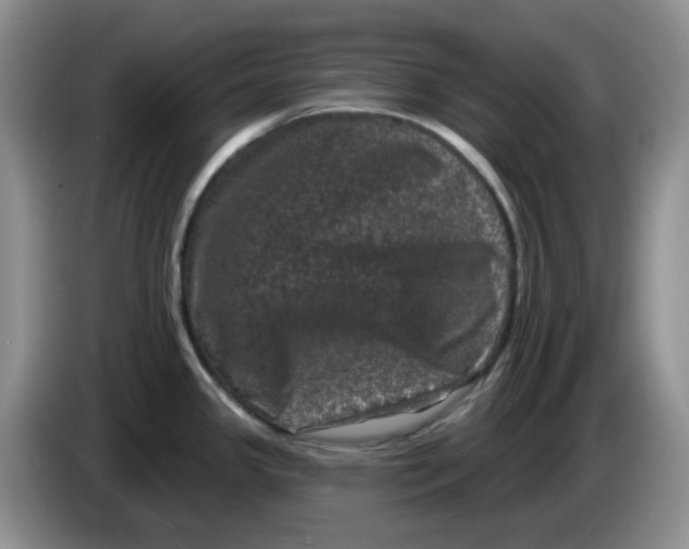 X0000084051341200703092044