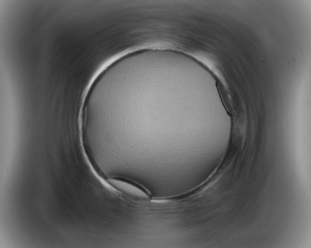 X0000084051343200703092044