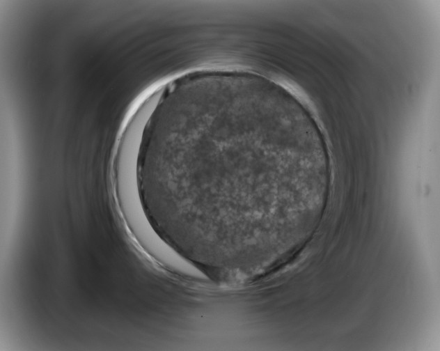 X0000084051344200703092044