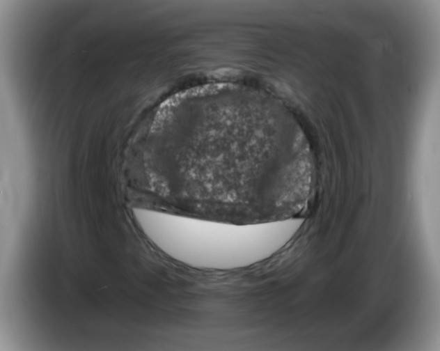 X0000084051345200703092044