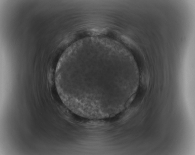 X0000084051346200703092044