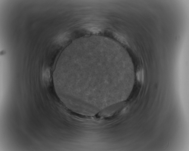 X0000084051347200703092044