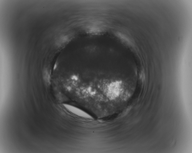 X0000084051348200703092044