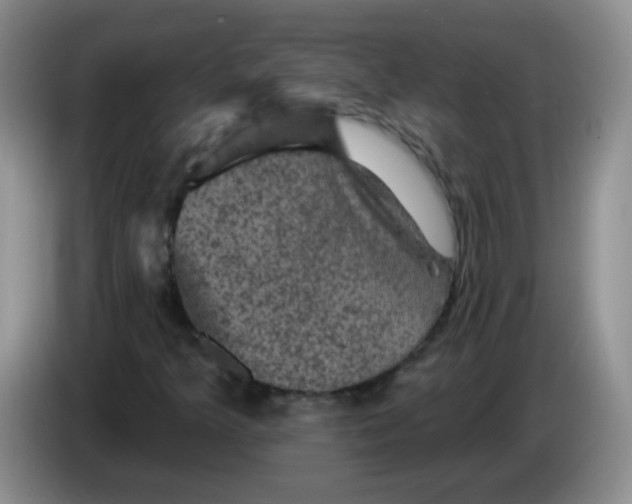 X0000084051349200703092044