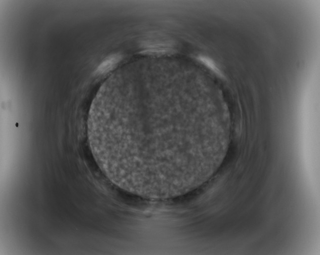 X0000084051350200703092044