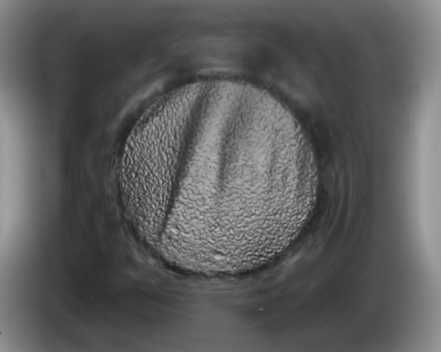 X0000084051351200703092044