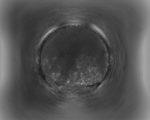 X0000084051352200703092044