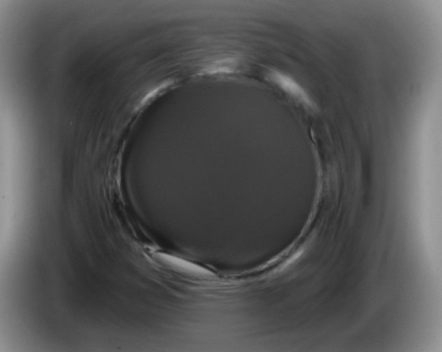 X0000084051353200703092044