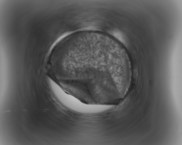 X0000084051356200703092044