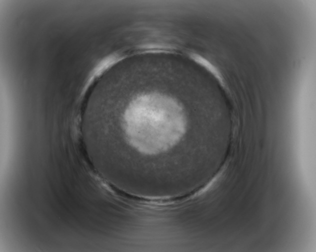 X0000084051357200703092044