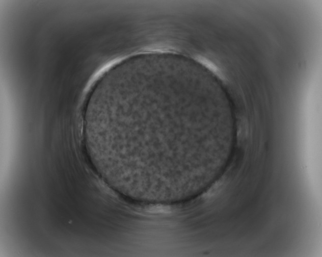 X0000084051358200703092044