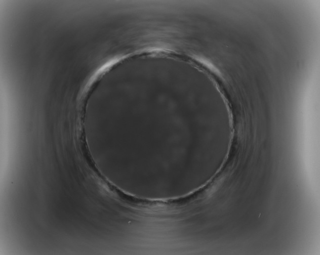 X0000084051359200703092044