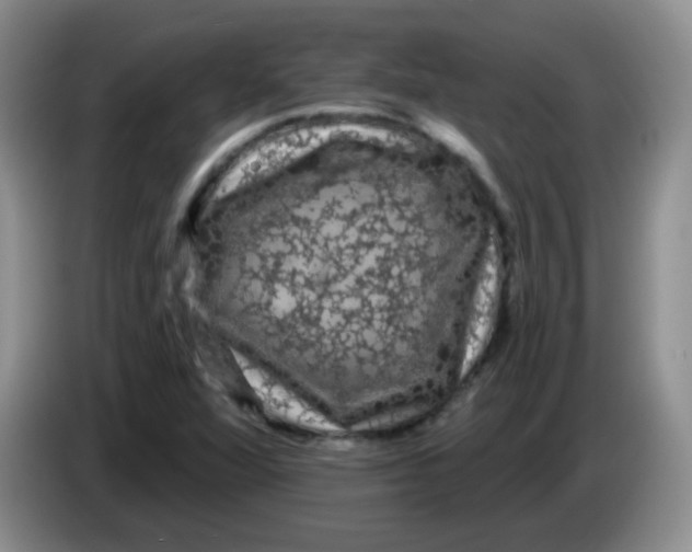 X0000084051360200703092044