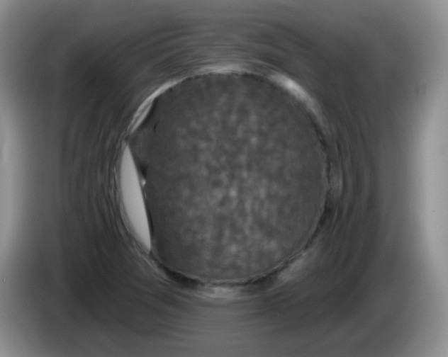 X0000084051361200703092044