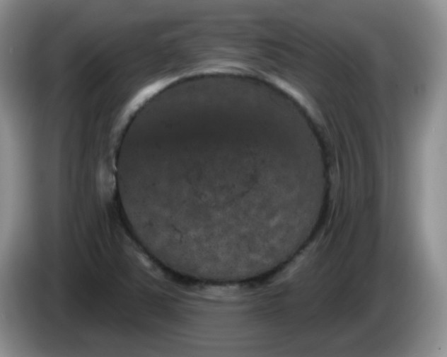 X0000084051363200703092044