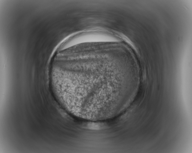 X0000084051364200703092044