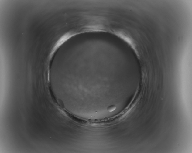 X0000084051365200703092043