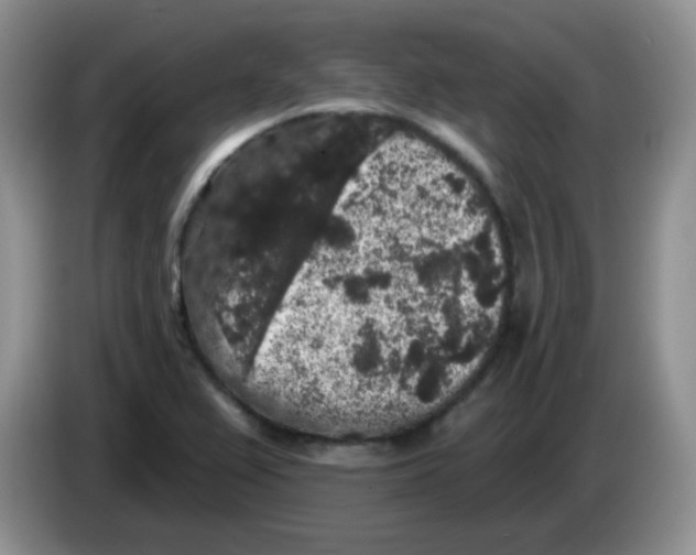 X0000084051367200703092043