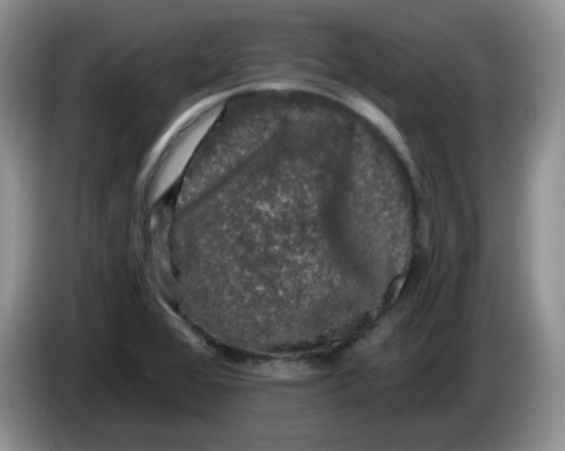 X0000084051368200703092043