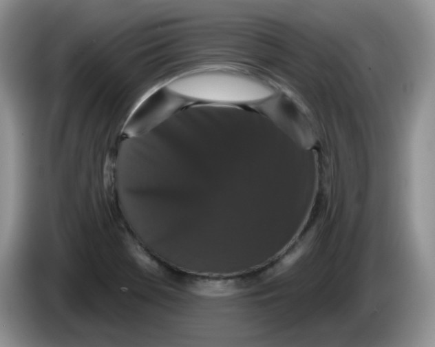 X0000084051369200703092043