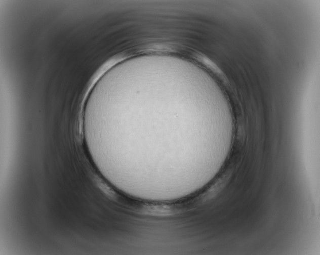 X0000084051370200703092043