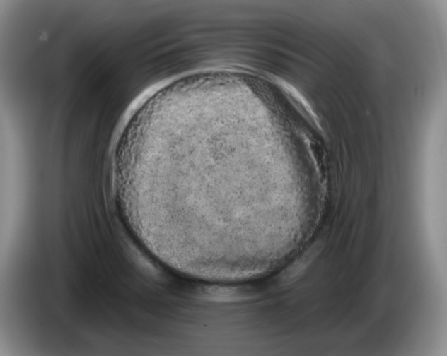 X0000084051371200703092043