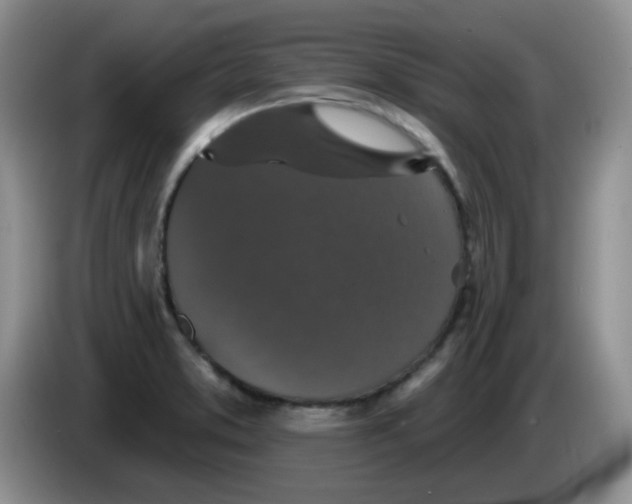 X0000084051373200703092043