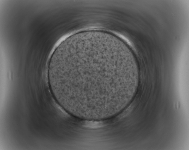 X0000084051374200703092043