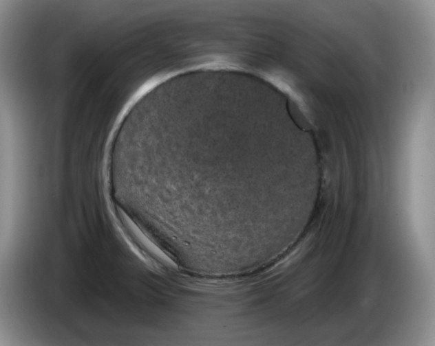 X0000084051375200703092043