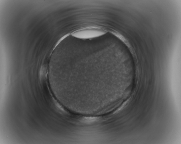 X0000084051377200703092043