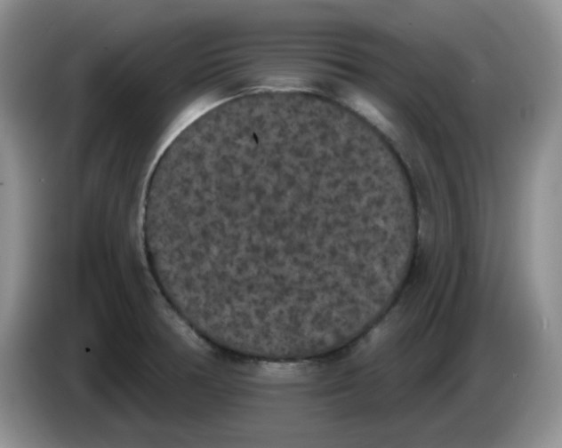 X0000084051378200703092043