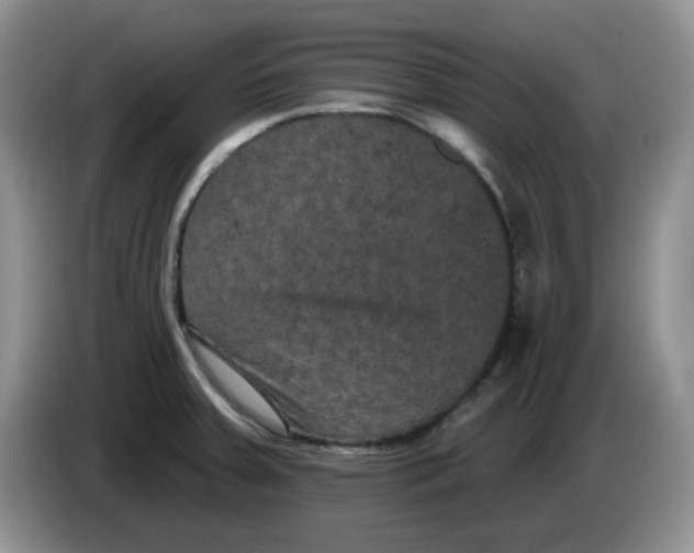 X0000084051379200703092043