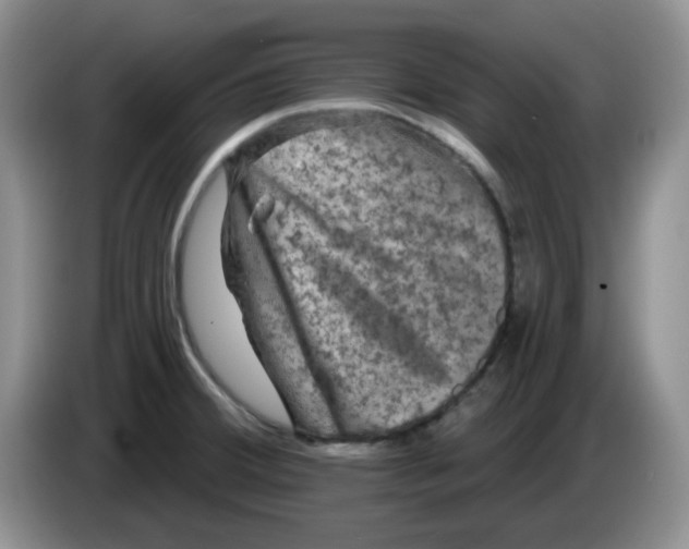 X0000084051380200703092043