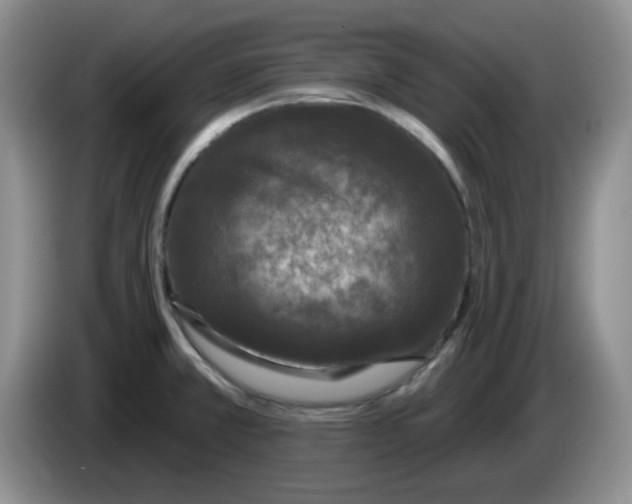 X0000084051381200703092043