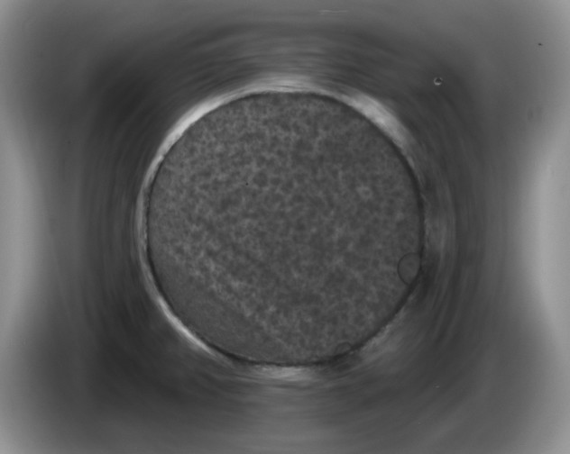 X0000084051382200703092043