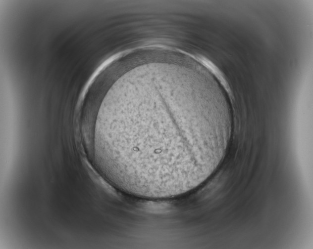 X0000084051384200703092043