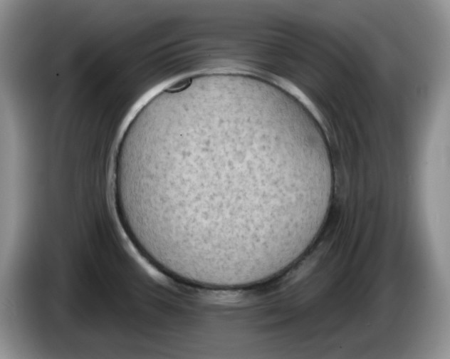 X0000084051387200703092043